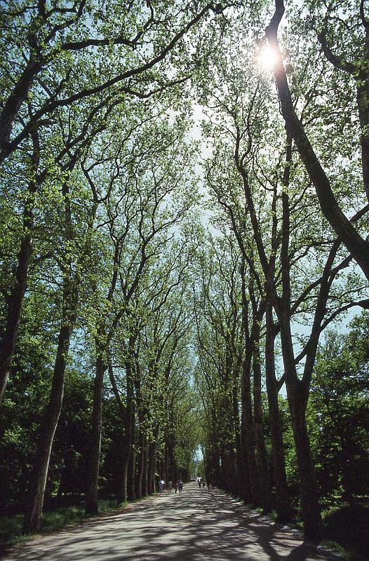 WT 2500 324-18 France 92.jpg